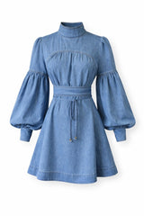 Darling in denim dress