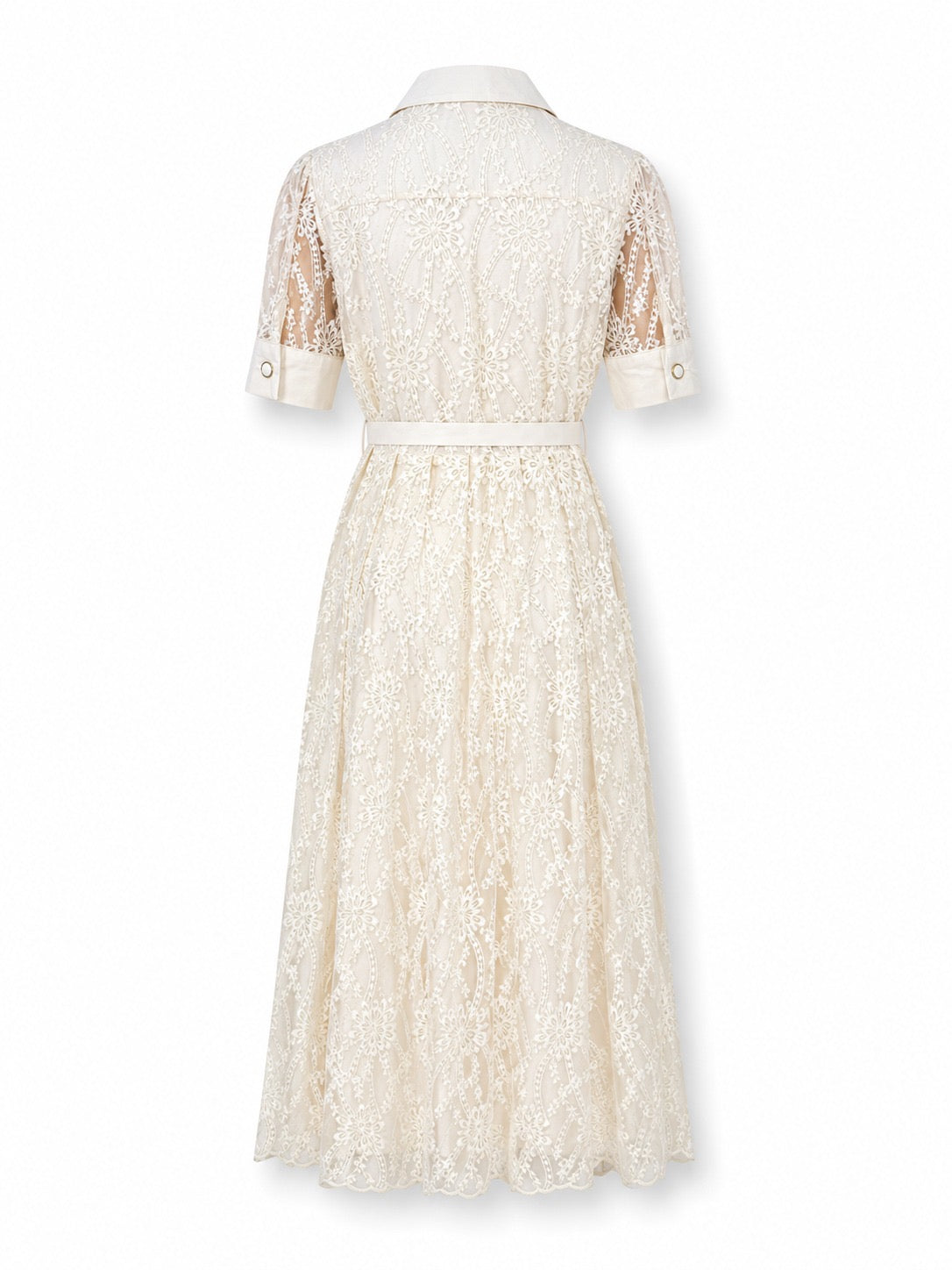 Cinderella Dress