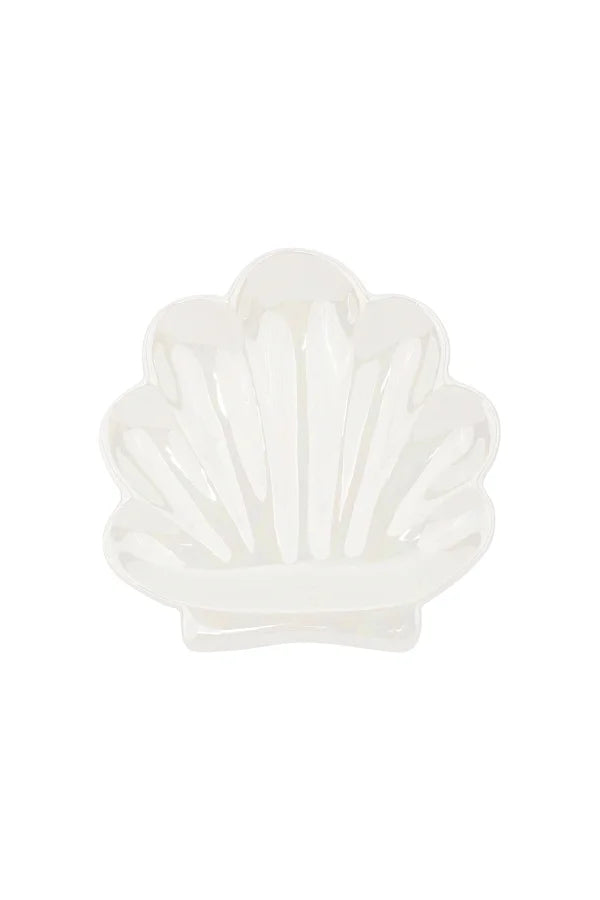 Perfect shores shell display