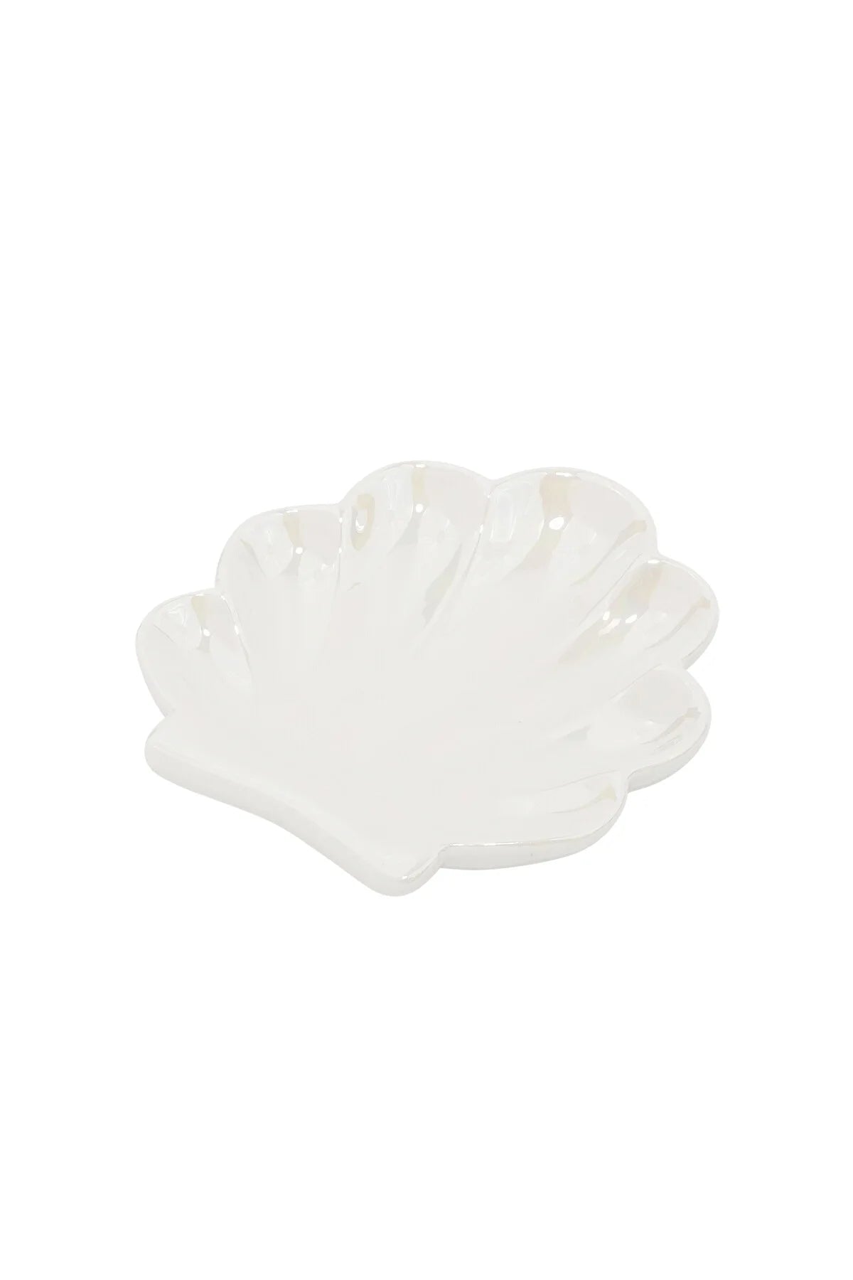 Perfect shores shell display