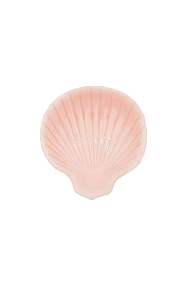 Perfect shores shell display