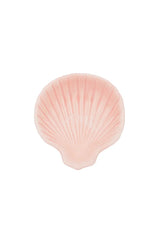 Perfect shores shell display