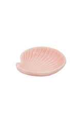 Perfect shores shell display